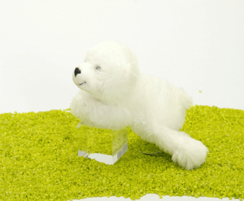 Plüsch Magnet Eisbär Knut Knuddel 12cm