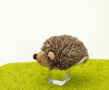Plüsch Magnet Igel Iggy 12cm