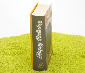 Geschenkschachtel Buch - Happy Birthday