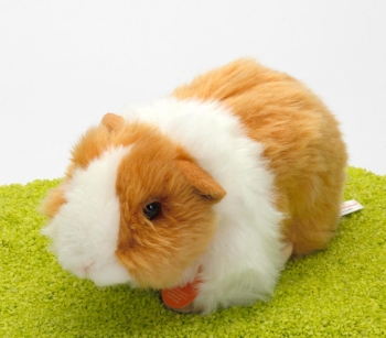 Plüschtier Meerschweinchen gold-weiß 20cm
