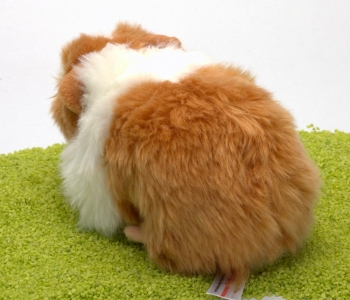 Plüschtier Meerschweinchen gold-weiß 20cm