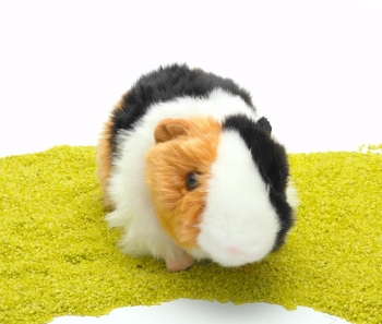 Plüschtier Meerschweinchen dreifarbig 20cm