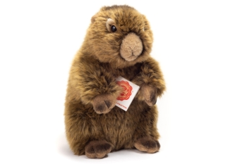Plüschtier Murmeltier 20cm