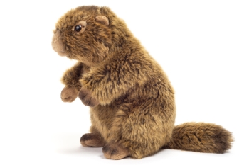 Plüschtier Murmeltier 20cm