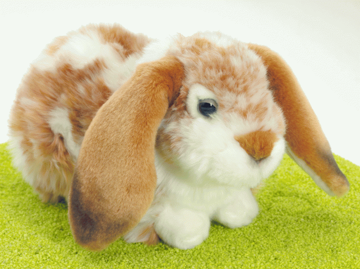 Plüschtier Hase Widderkaninchen liegend hellbraun-weiß gescheckt 30cm