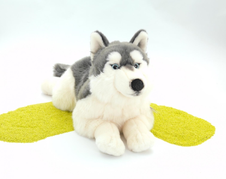 Plüschtier Hund Husky liegend 60 cm